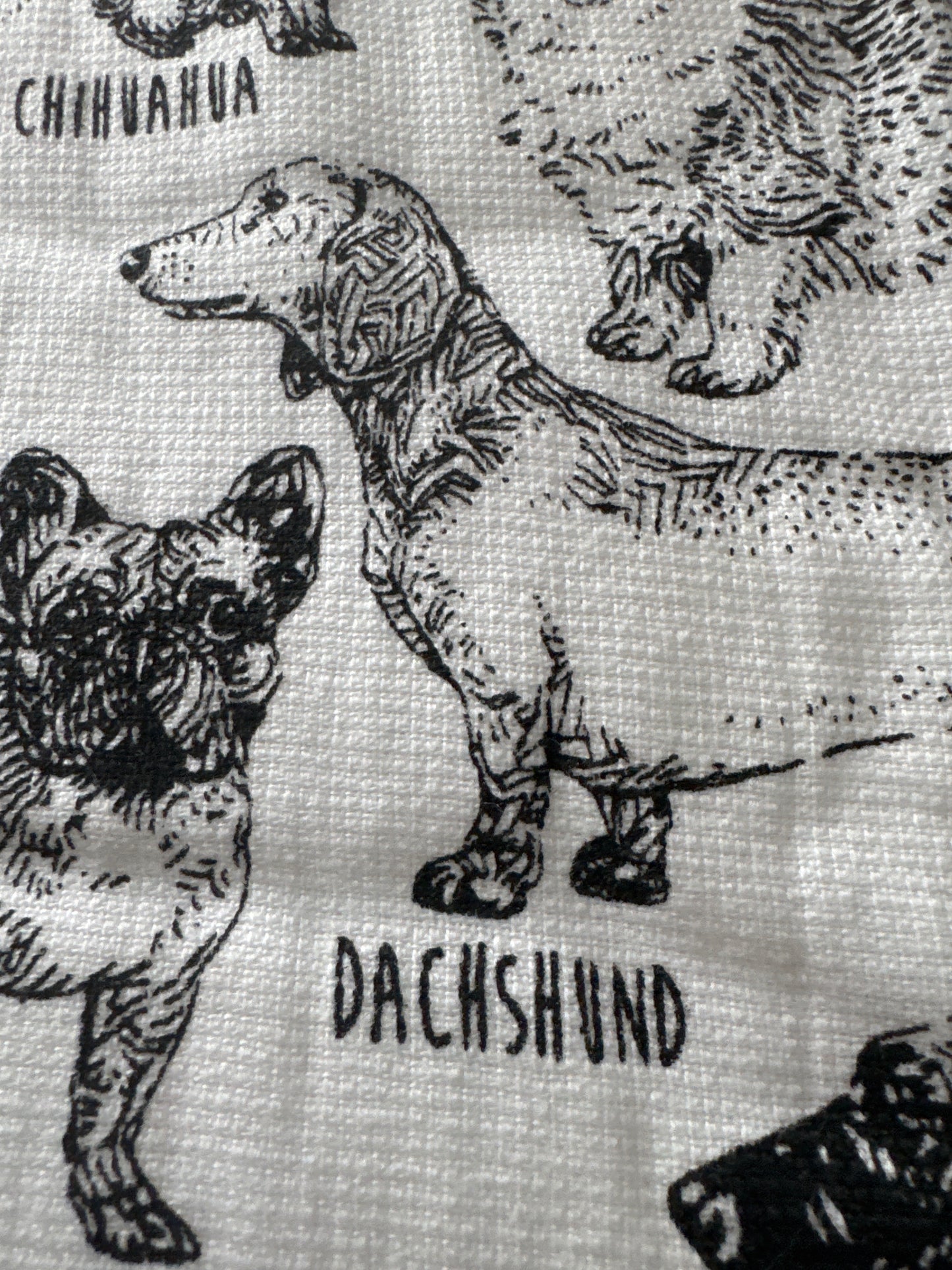 Set of 2 Kitchen Towels | Dog Theme, Eco-Friendly Cotton | 18" x 28"