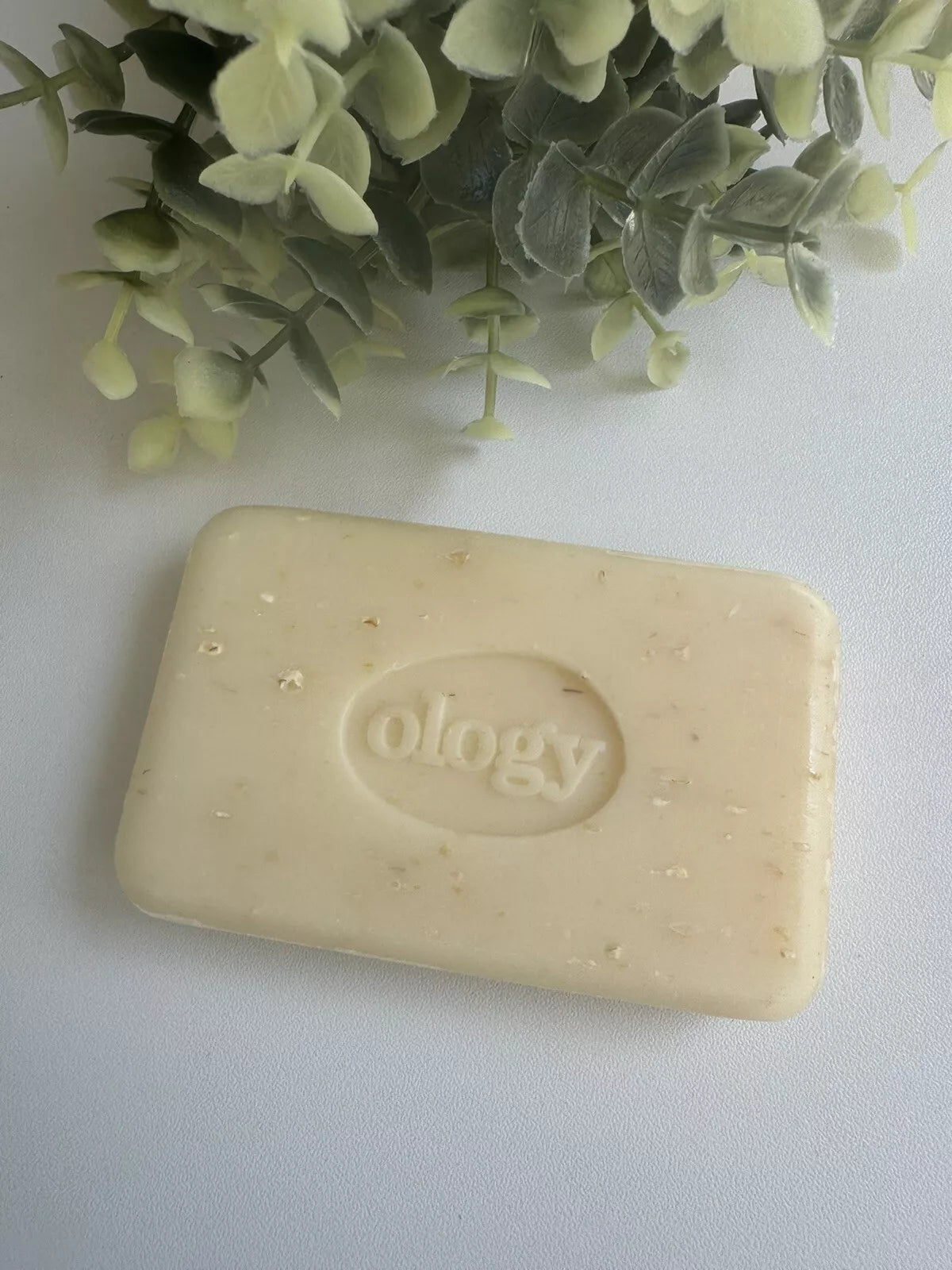 OLOGY Oatmeal Honey Triple Milled Soap Bars – 3 Pack, 4 oz Each | Vegan & For All Skin Types